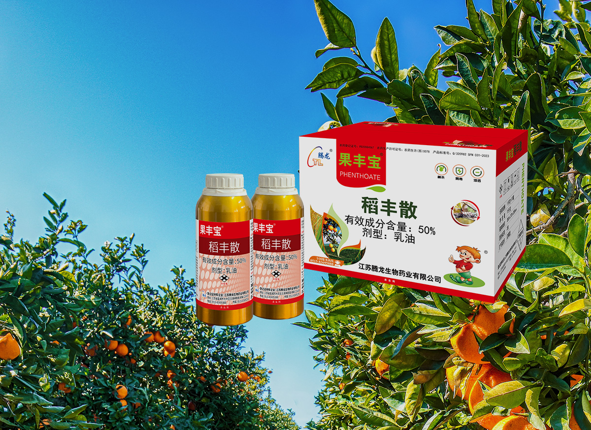 稻豐散